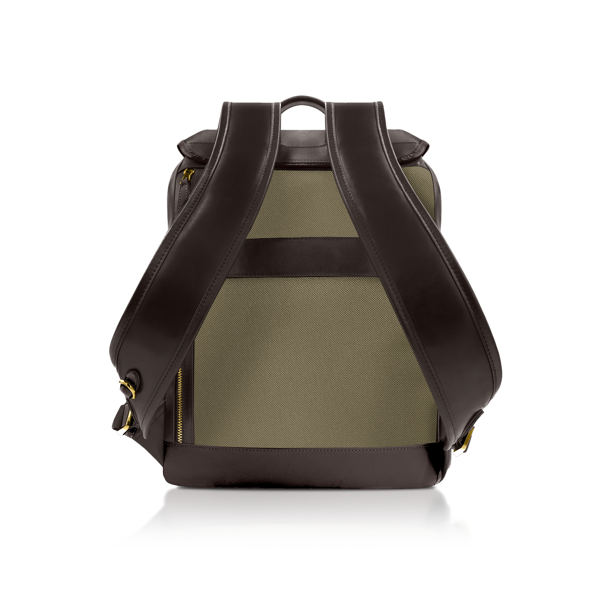 Premium / Sage Sienna